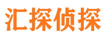 武隆市私家侦探